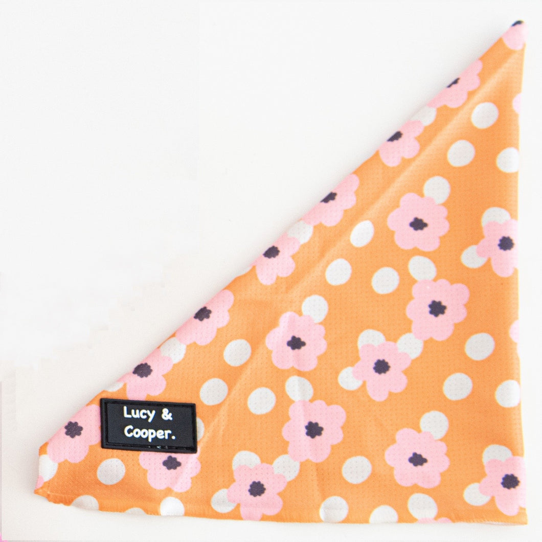 Clementine Bandana