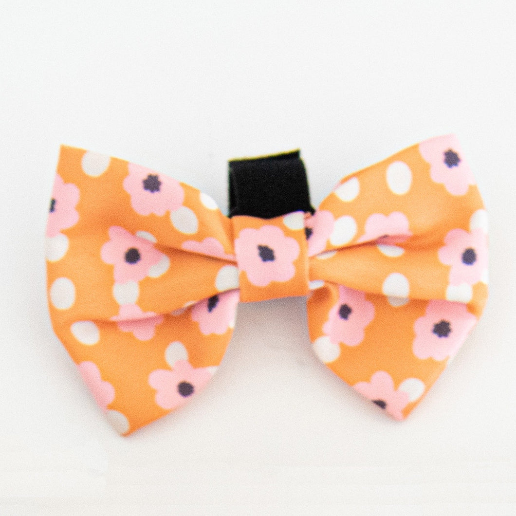 Clementine Bow Tie