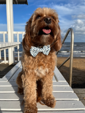 Load image into Gallery viewer, Ziggy Bow Tie
