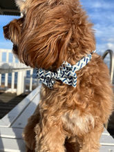 Load image into Gallery viewer, Ziggy Bow Tie
