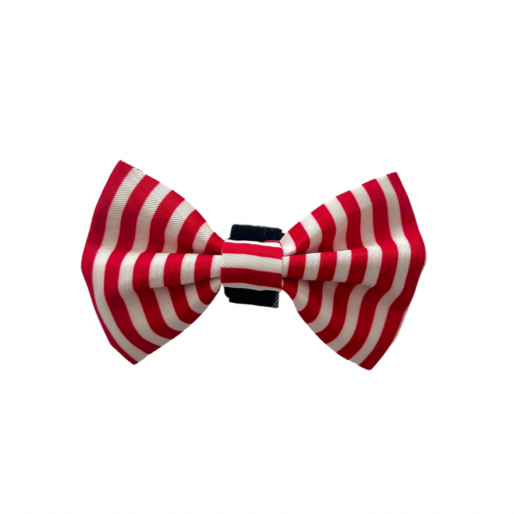 Wally Bow Tie